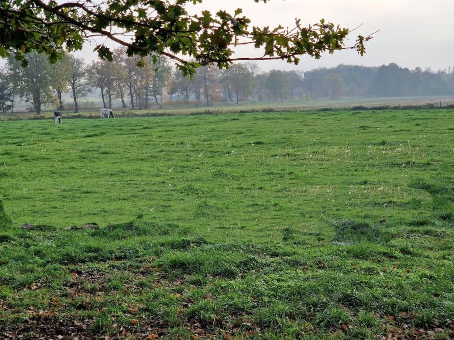 Gemuetliche Wohnung Direkt Am Kuestenkanal! Wardenburg Exteriér fotografie