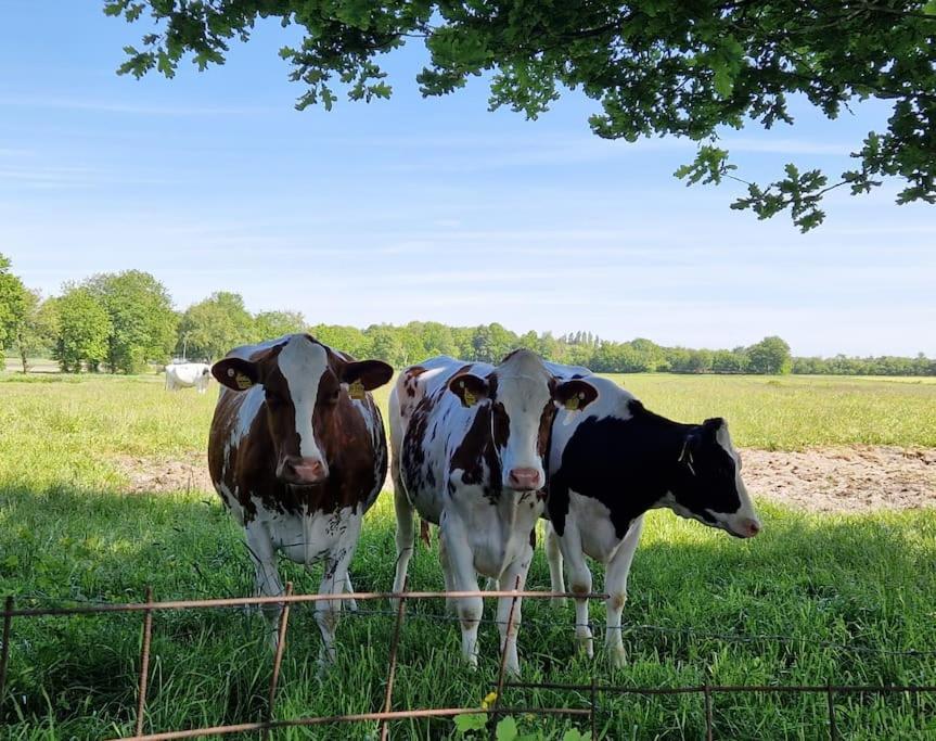 Gemuetliche Wohnung Direkt Am Kuestenkanal! Wardenburg Exteriér fotografie